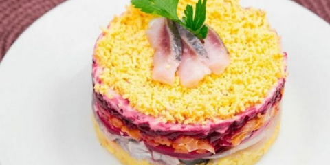 Sleď pod kožichem: 10 klasických receptů + vrstvy v pořádku